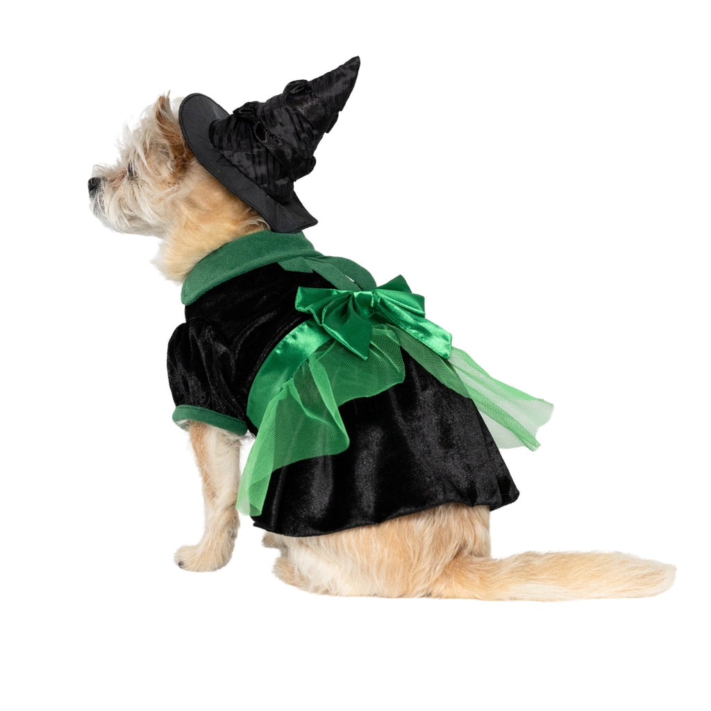 Vibrant Life Halloween Bad Witch Costume for Dogs, Green and Black, Extra Large