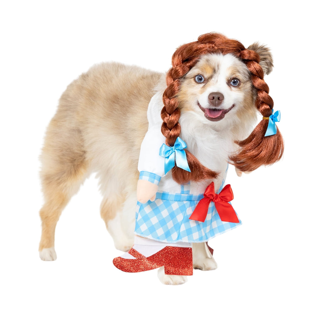 Vibrant Life Halloween Gingham Girl Costume for Dogs and Cats, Small