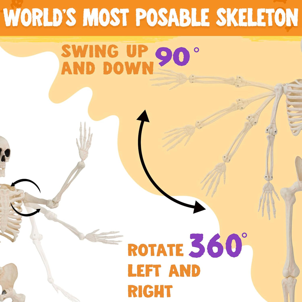 Foraging dimple 36" Halloween Skeleton Decor, 3FT Full Body Stayable Movable Joints, Hanging Skeletons for Halloween Decoration, Yard Graveyard Haunted House Props, Spooky Scene Party Favor
