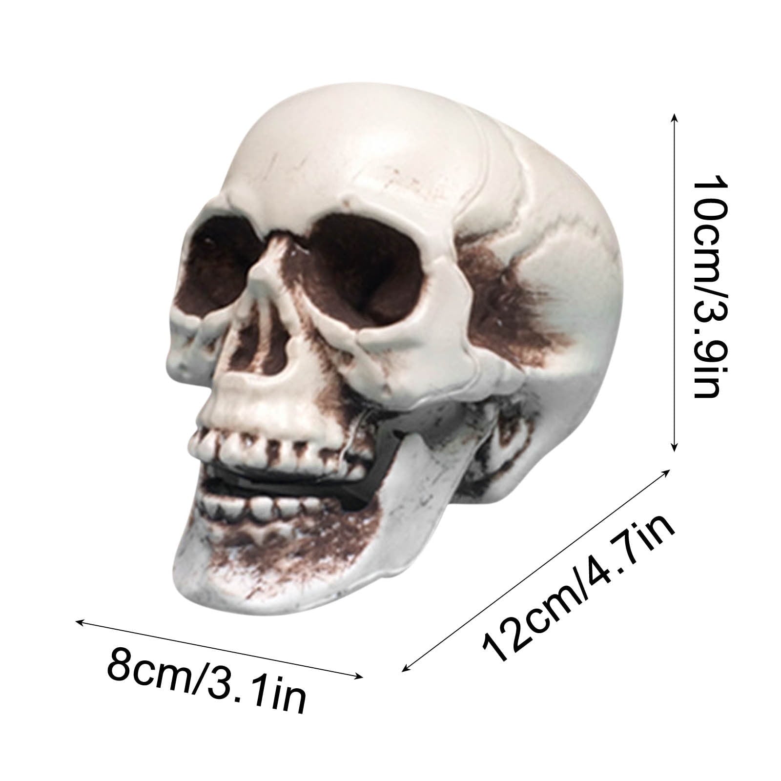Darzheoy Halloween Skull Model Realistic Fake Simulation Human Skull Head Model Halloween Prop Realistic Mini Skeleton Spooky Halloween Decoration