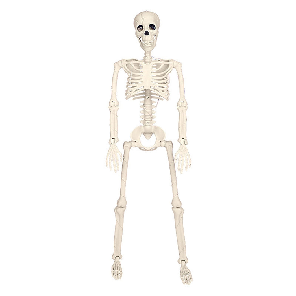 amlbb Halloween Decoration Halloween Skeleton Horror Decorations Simulation Animals Skeleton Ornaments Bar Decoration Frogs Skeleton on Clearance