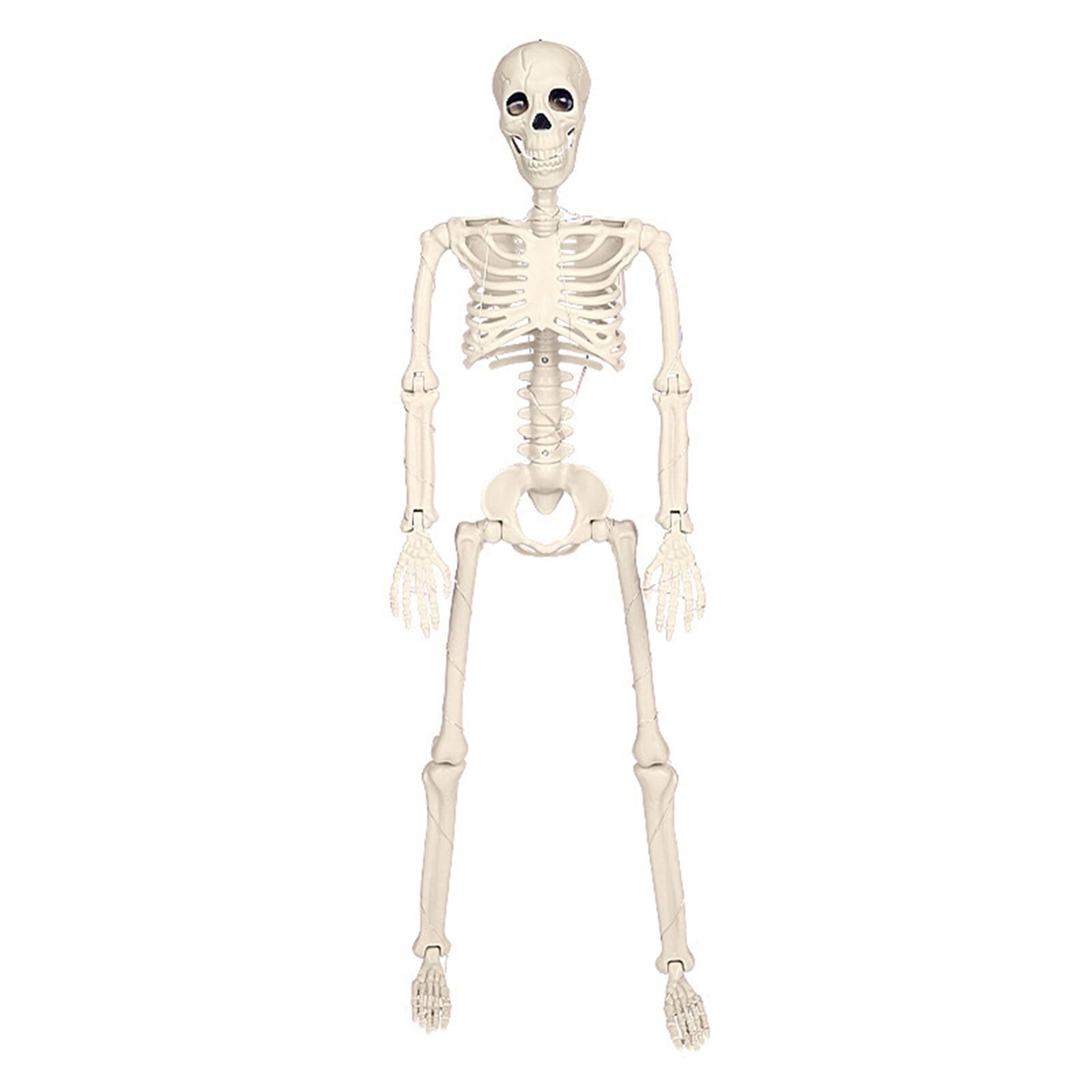 amlbb Halloween Decoration Halloween Skeleton Horror Decorations Simulation Animals Skeleton Ornaments Bar Decoration Frogs Skeleton on Clearance