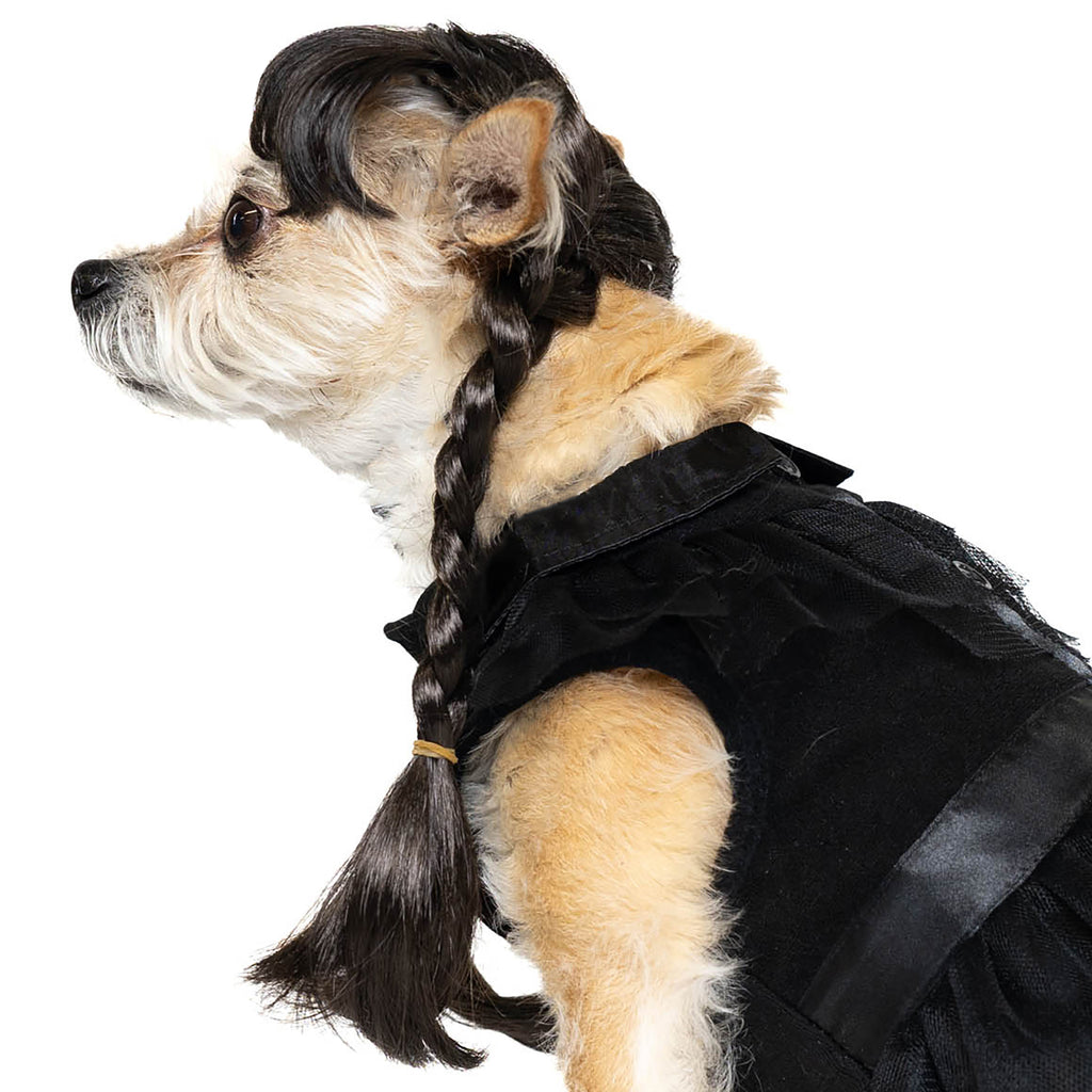 Vibrant Life Halloween Gothic Girl Costume for Dogs, Black, Large