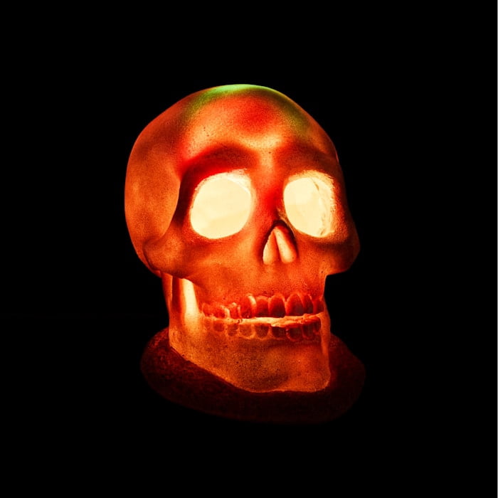 Petco Halloween LED Light-Up Skull Aquarium Decor White Large