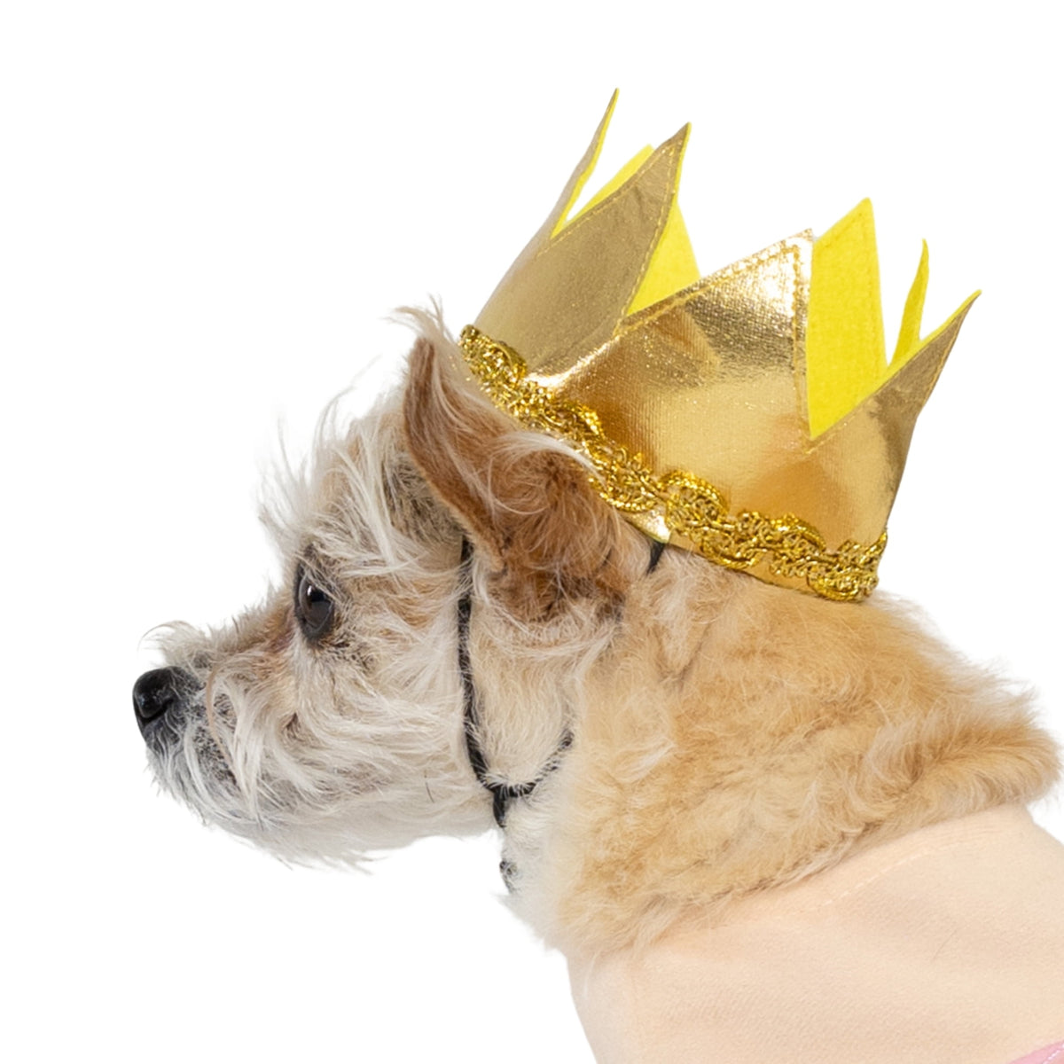 Vibrant Life Halloween Good Witch Costume for Dogs, Pink and Gold, Medium