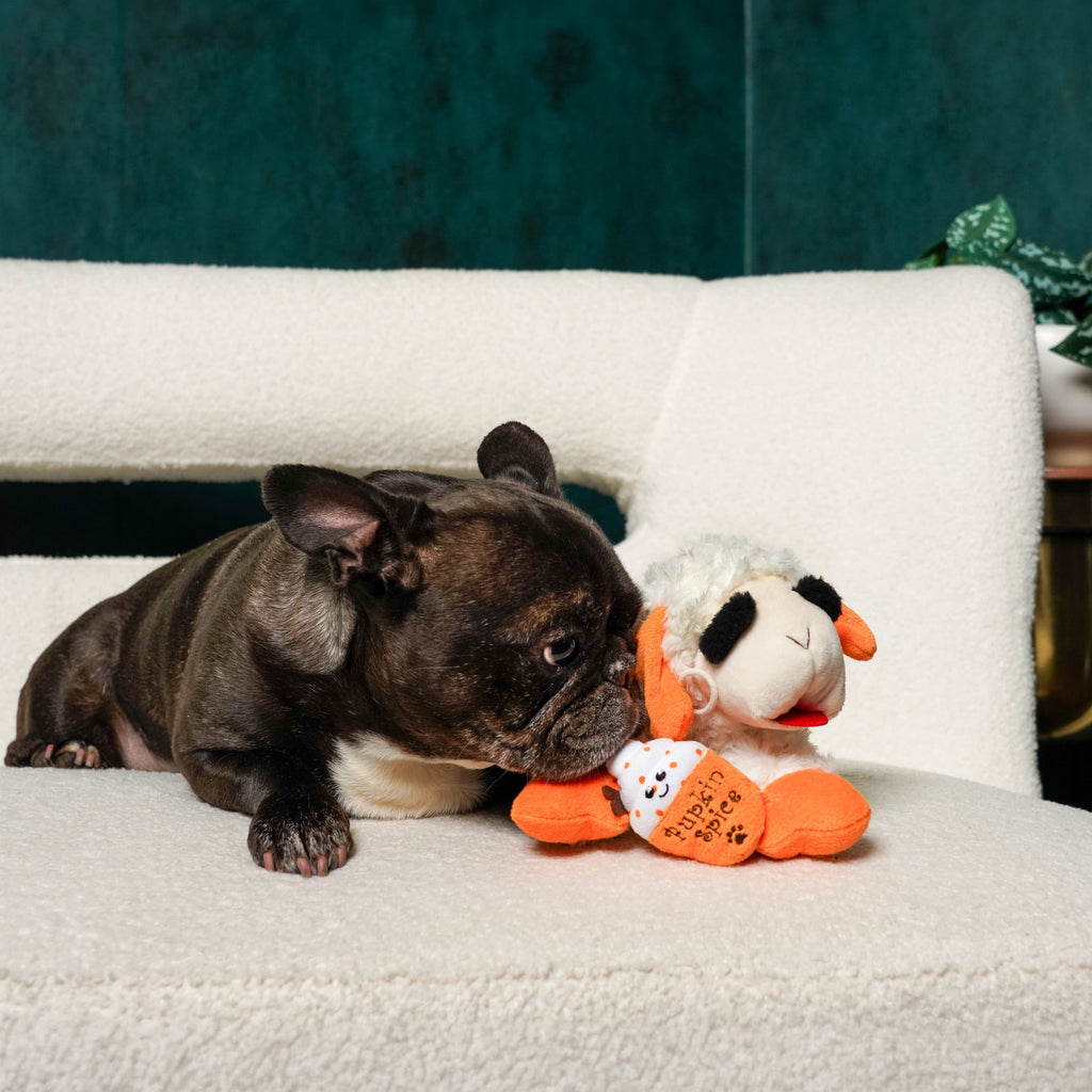 Multipet Lamb Chop Pupkin Spice Latte Dog Toy