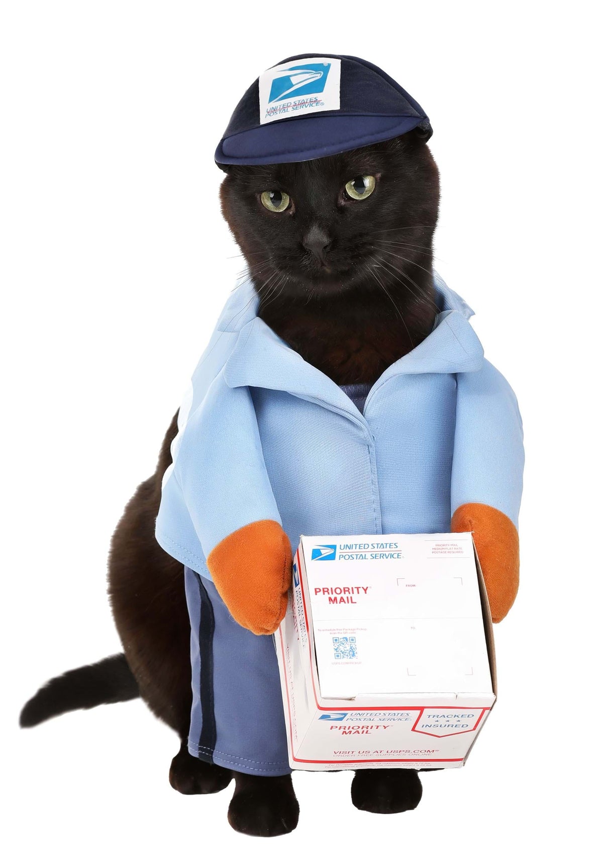 California Costumes US Mail Carrier Pup Dog Costume | Large Unisex