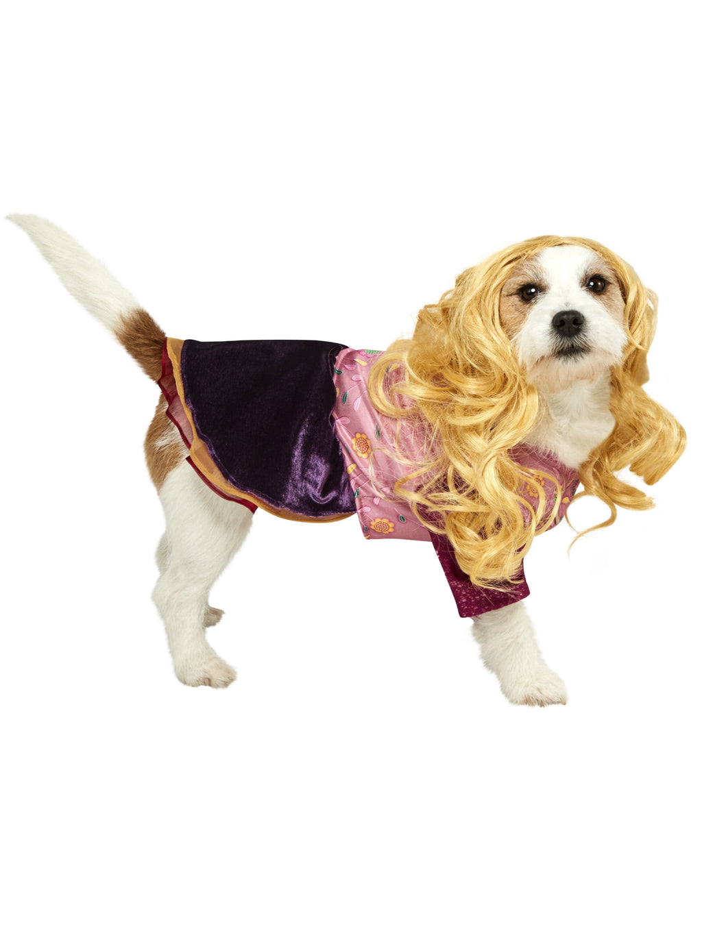 Hocus Pocus Sarah Pet Costume